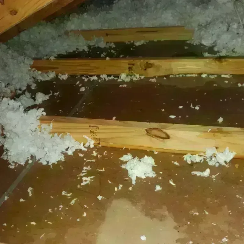 Attic Water Damage in South Taft, CA